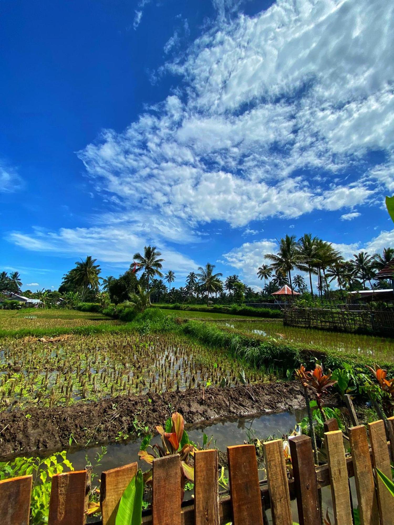 Alfarizi Homestay Tetebatu Quarto foto